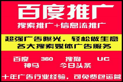 搜索引擎营销（SEM）的精准投放技巧案例